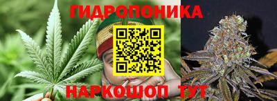 ALPHA PVP Вышний Волочёк
