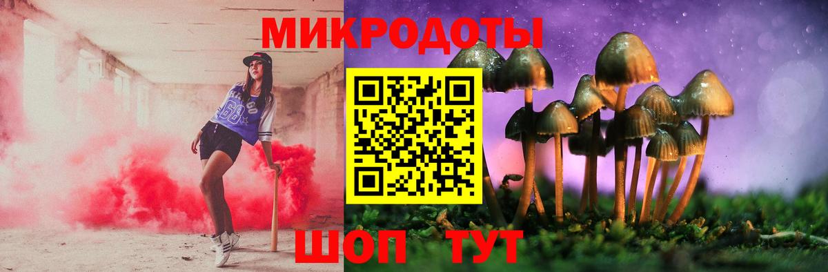 Псилоцибиновые грибы Psilocybine cubensis  Вход с VPN  Ногинск 
